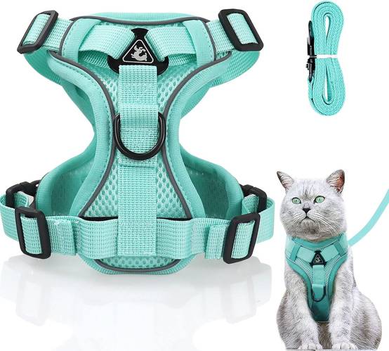 Harnais réglable pour Chat - Anti-éclatement Vert Menthe - S
