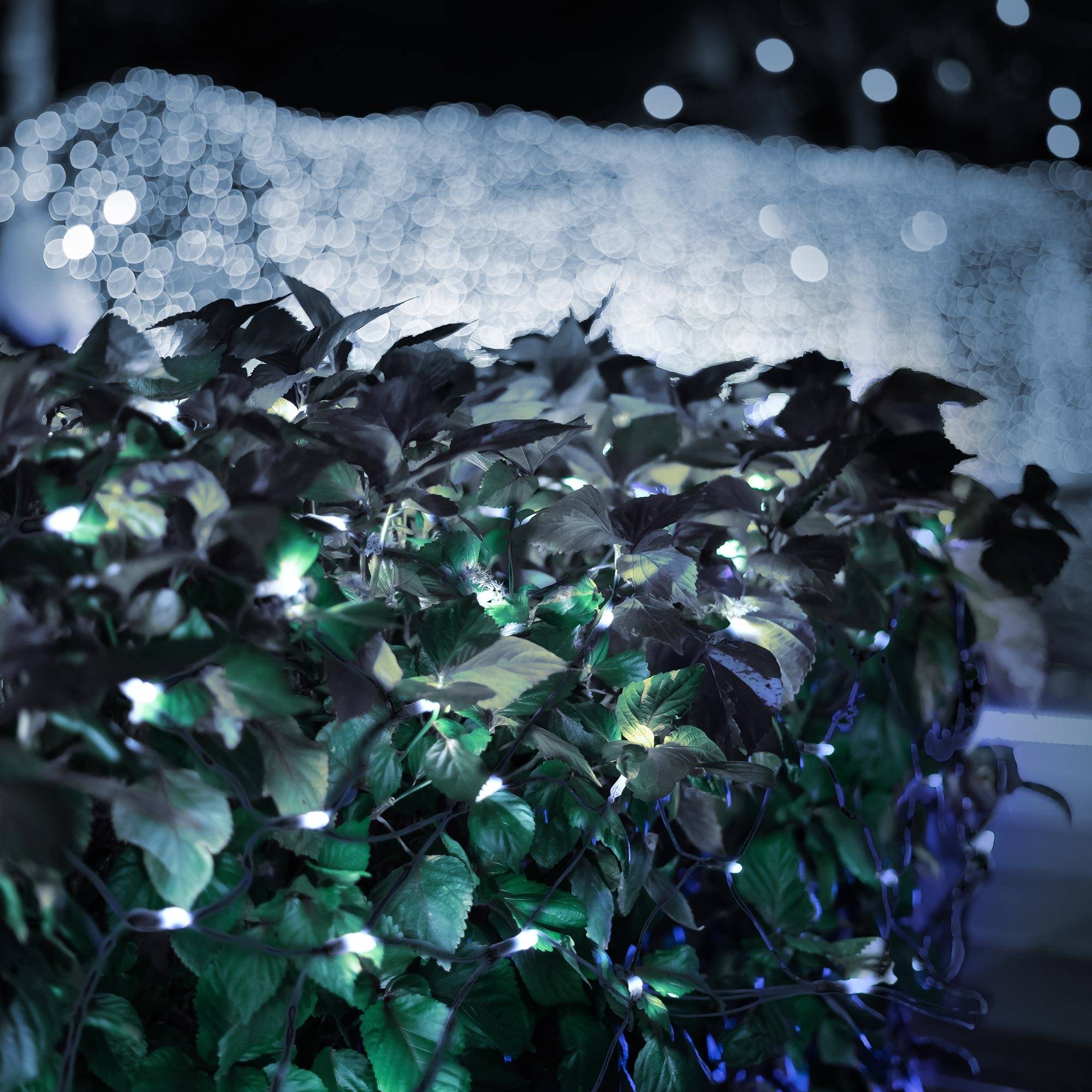 Ecd-Germany - Guirlande lumineuse filet lumineux 320 LED intérieur extérieur IP44 blanc froid - Imagen 7
