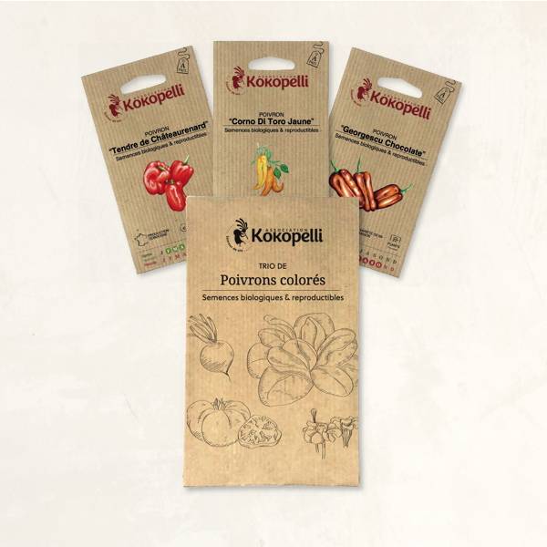 Poivrons colorés - 3 sachets de graines bio à semer - Imagen 2