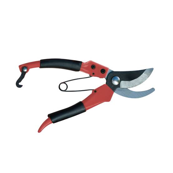 Sans Marque - Kit sécateur télescopique, taille haie et sécateur à main - Image 4