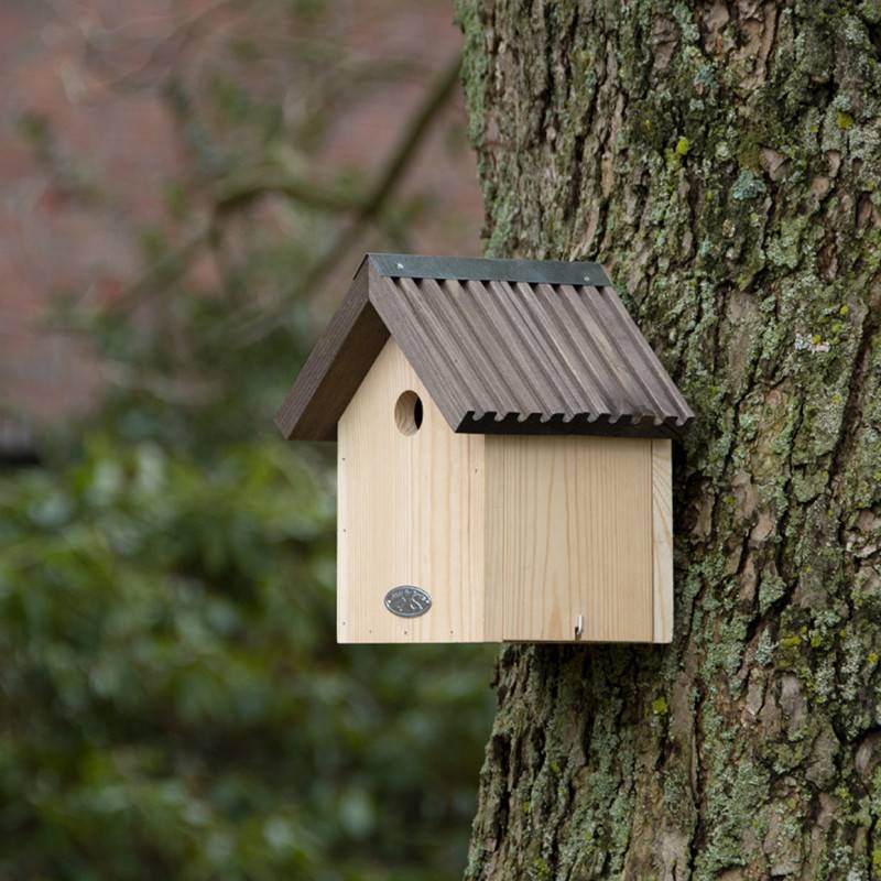 Esschert Design - Nichoir Mésange Bleue en bois 23 cm - Esschert Design - Imagen 6