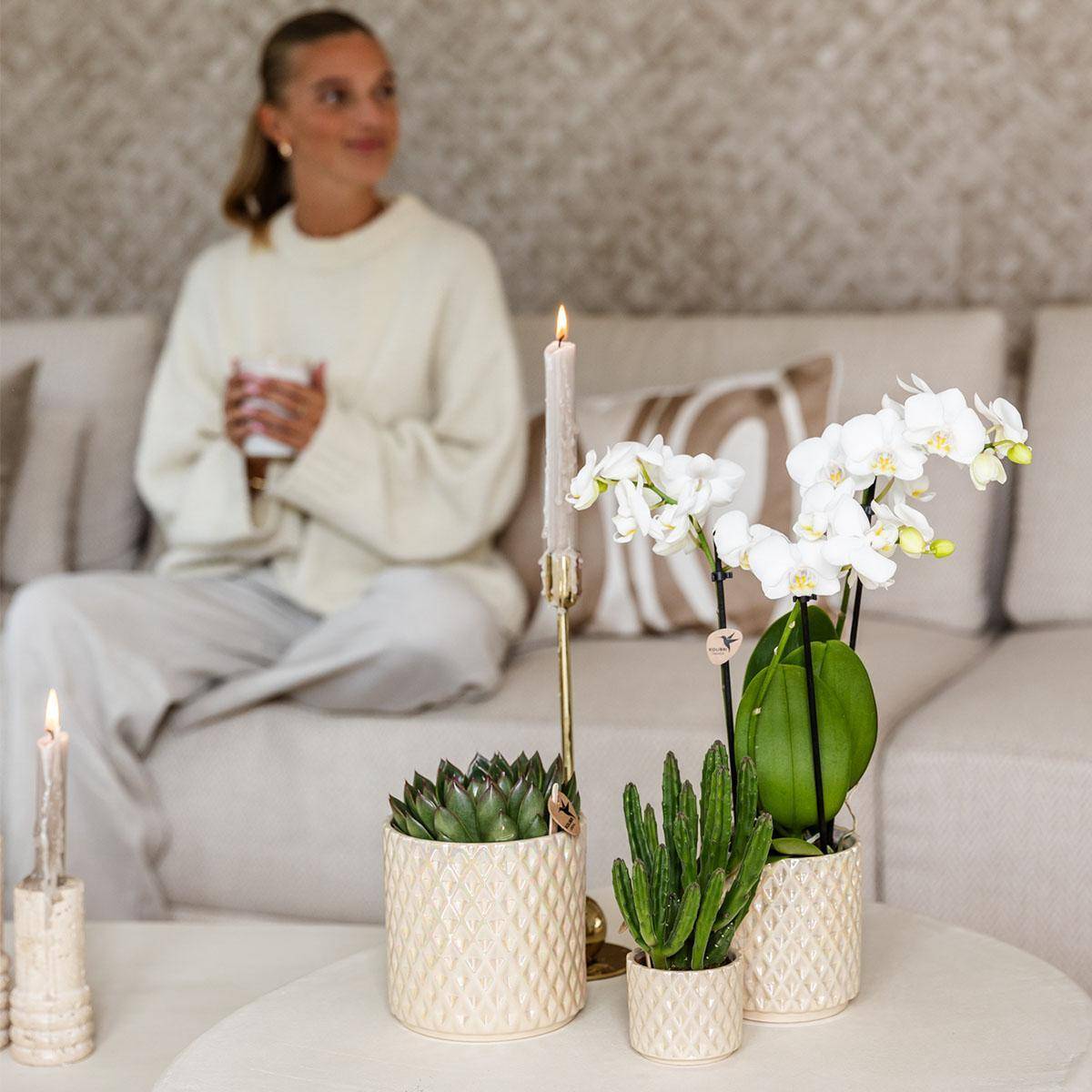 Pot Diamond Pearl en Travertin- La Green Touch - Image 4
