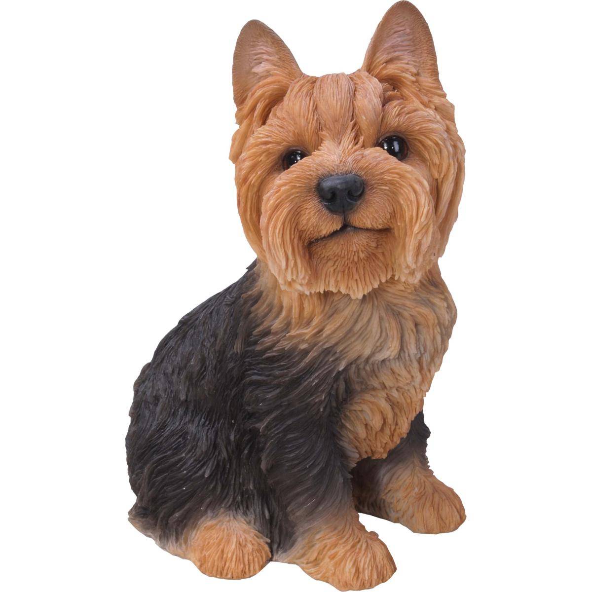 WANLIAN Yorkshire Terrier Statues,Statue de Chien Multicolore de Couleur de décord'intérieur,Outdoor Garden Statues, Resin Dog Sculpture for Backyard Patio Decor & Lawn Ornaments