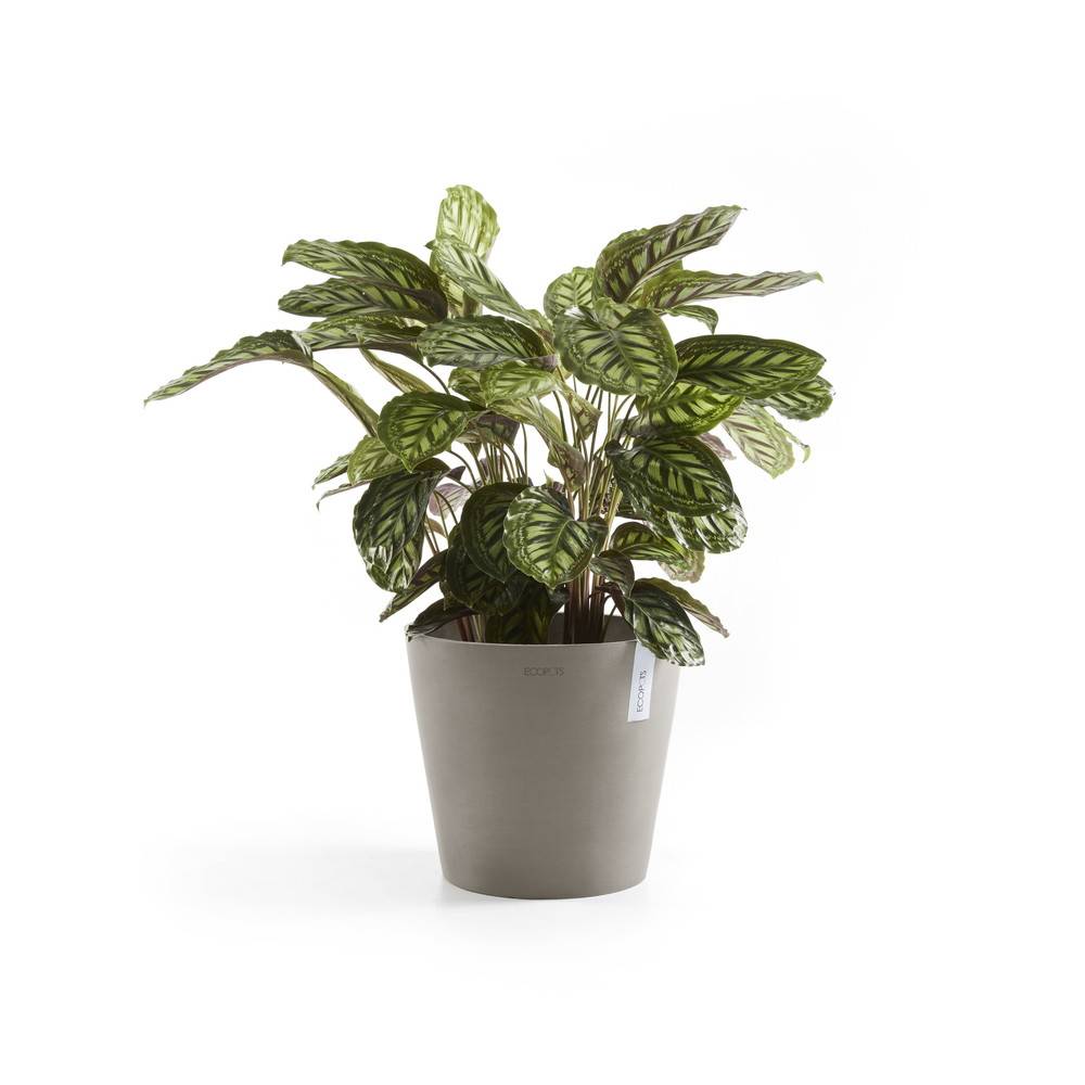 Ecopots - Pot Rond Amsterdam 25 Taupe - Ø 25,4 x H. 24,5 cm - 9,7 L ECOPOTS - Imagen 4