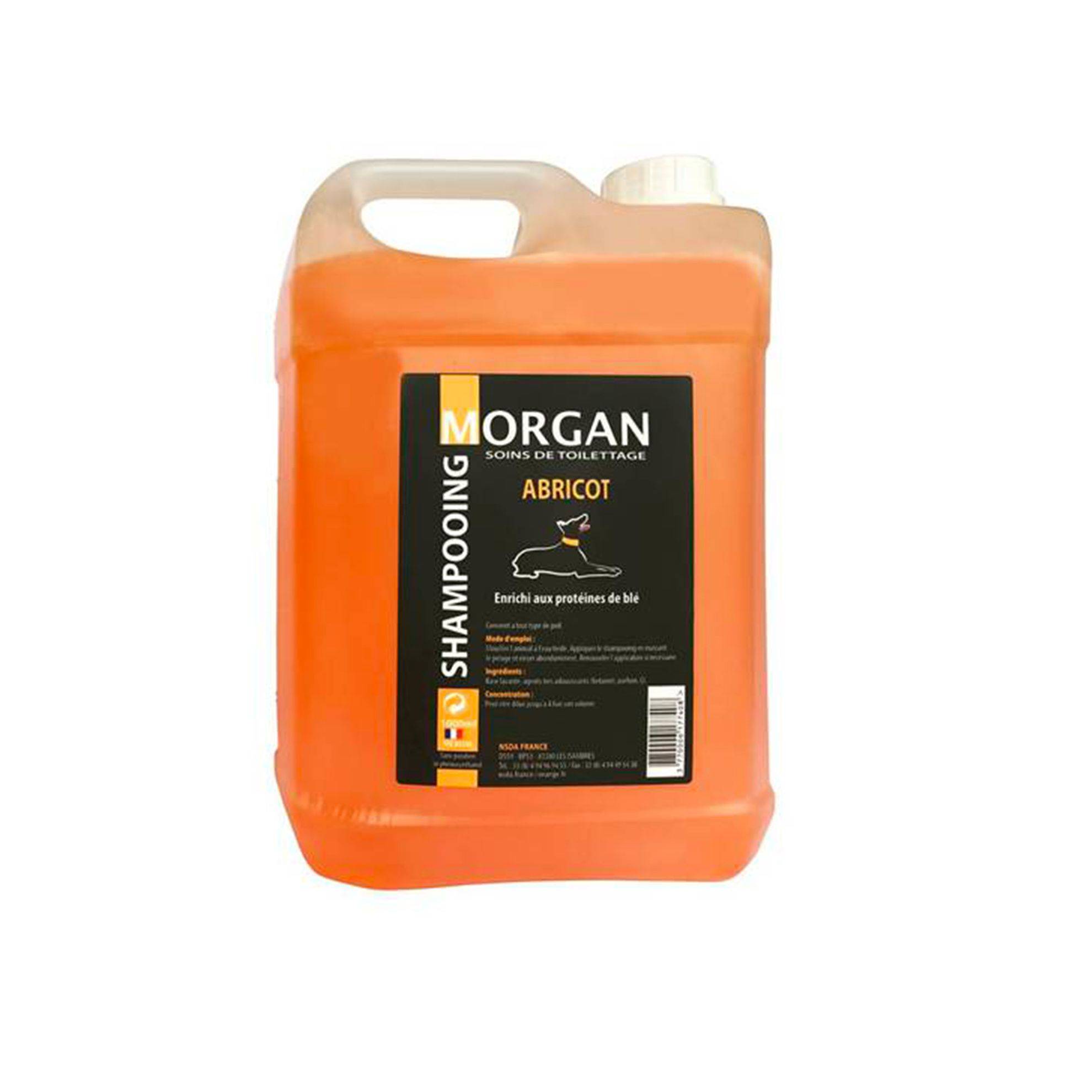 Shampoing protéiné à l'abricot Morgan : 5 litres MORGAN