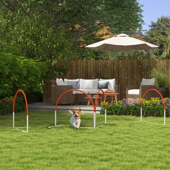 Kit d'agilité pour chien plastique blanc et orange 89 x 69 x 99 cm - PANGIVO - Image 3