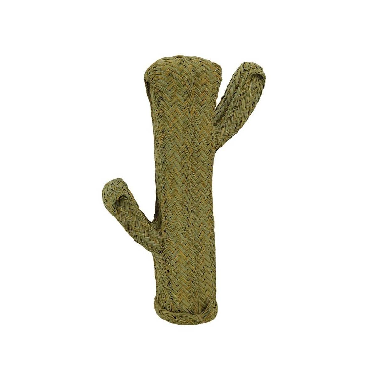 Aubry Gaspard - Cactus en alpha Hauteur 65 cm