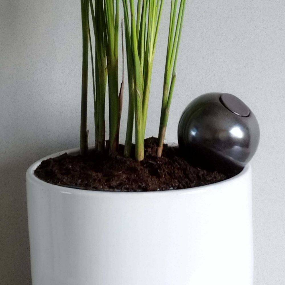 Ollas Lutton - Ollas à planter en argile medium Métallique Ollas Lutton - Imagen 2