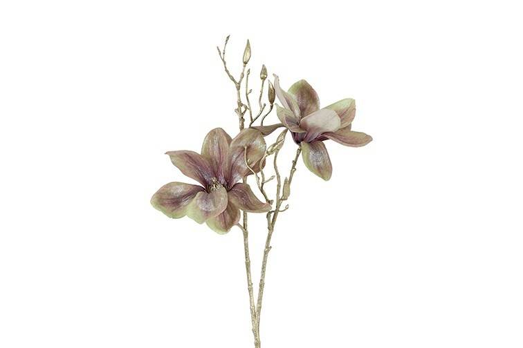 Fleur Magnolia S champagne/doré-10x18x84CM