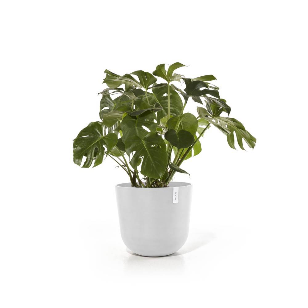 Ecopots - Pot Oslo 65 Pure White ECOPOTS - Imagen 2