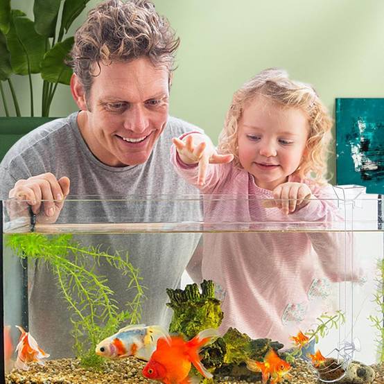 Plateau de Nourriture Transparent pour Aquarium & Crevettes M DtopbuyAge - Image 4
