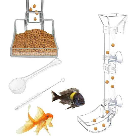 Plateau de Nourriture Transparent pour Aquarium & Crevettes M DtopbuyAge - Image 1