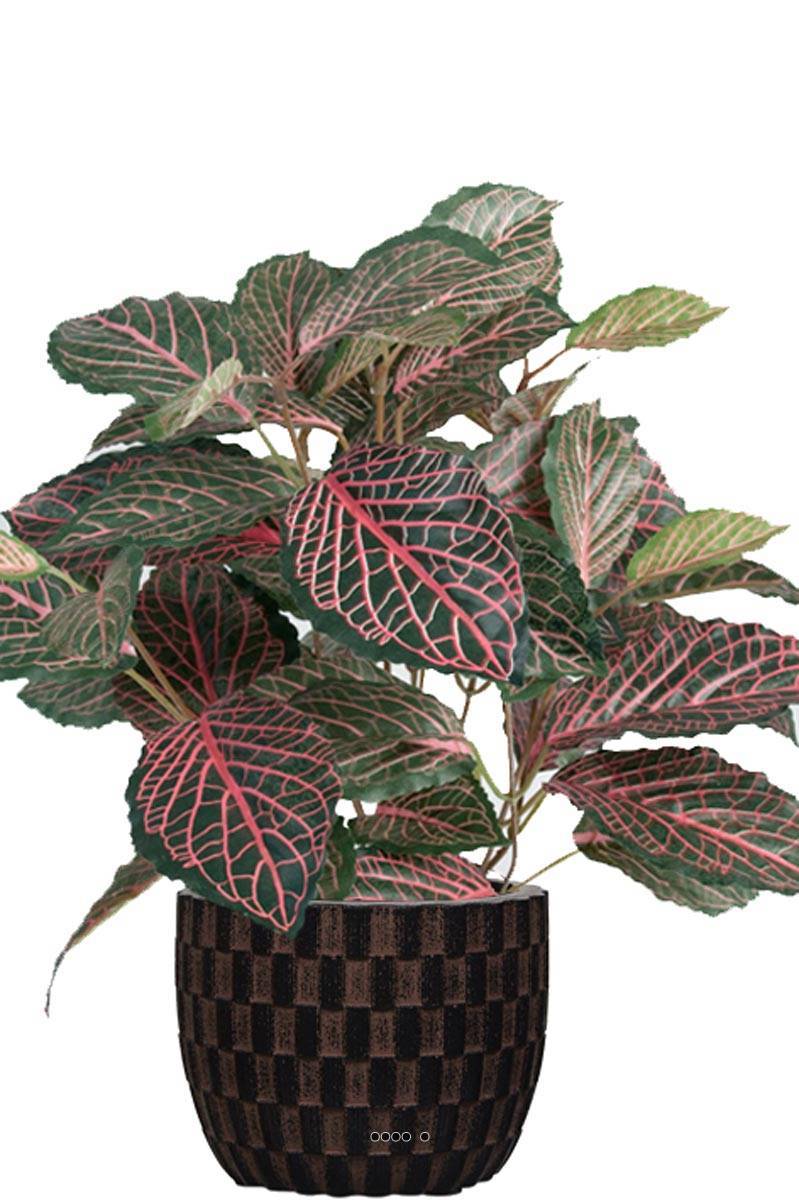 Artificielles - Fitonnia artificiel en pot, H 40 cm, D 40 cm Vert-rose - couleur: Vert-rose - Imagen 2