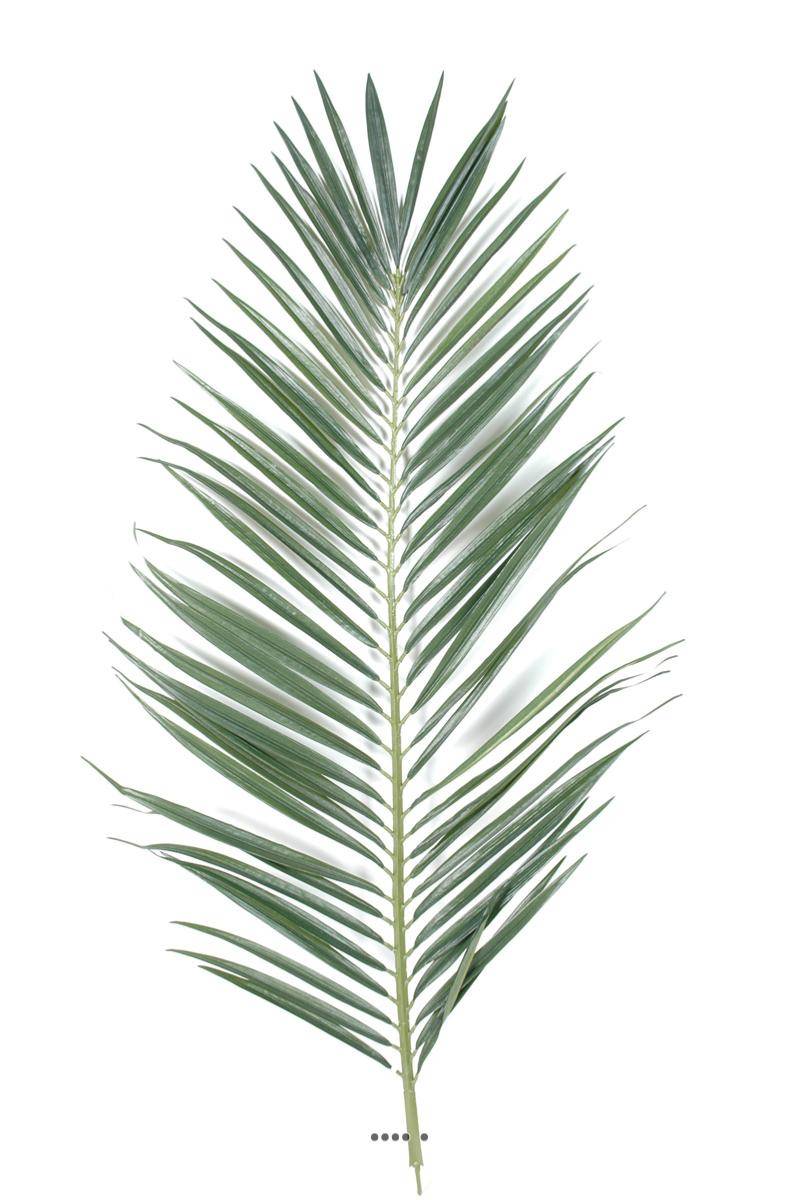 Feuille de palmier artificielle H 147 cm - Image 1