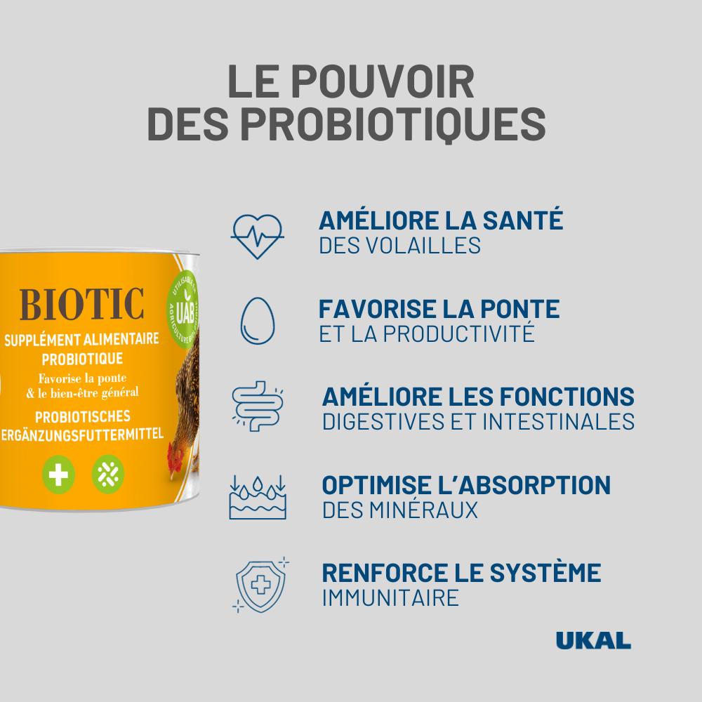 Chick'a - Supplément alimentaire à base de probiotiques pour volailles CHICK'A 360g - Imagen 2