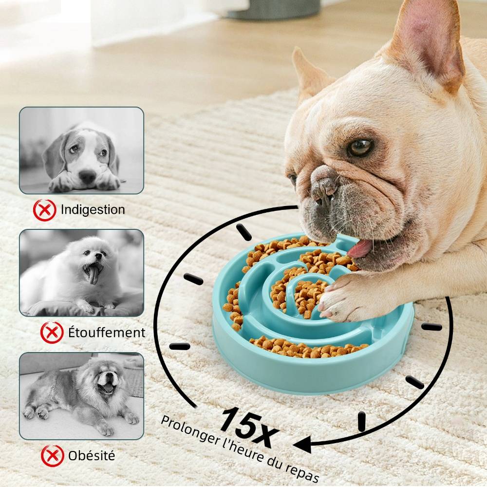Mangeoire anti glouton pour chien et chat bleu - IntiMeg - Image 4