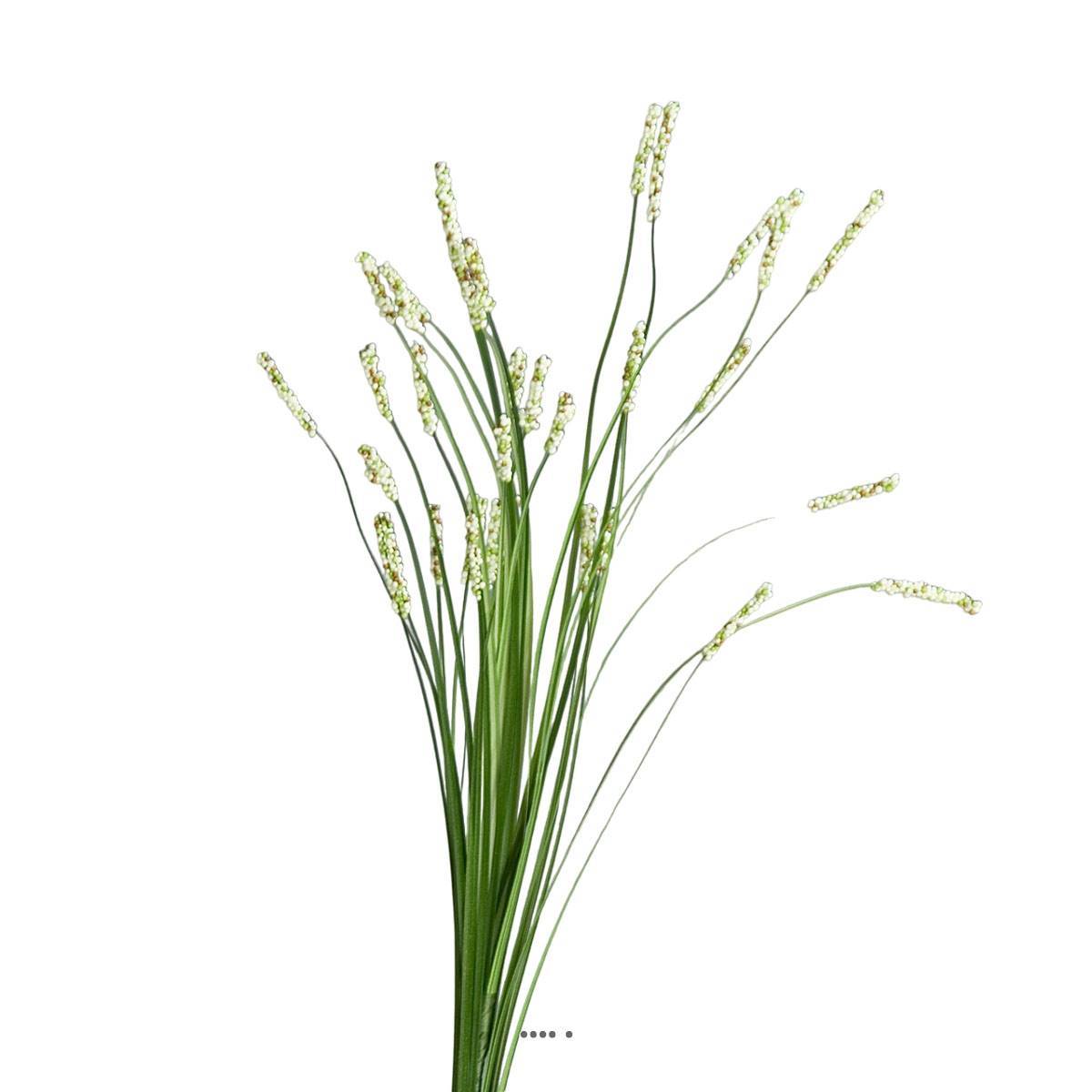 Artificielles - Isolepsis artificiel Herbe a ours H 70 cm crème - Imagen 1