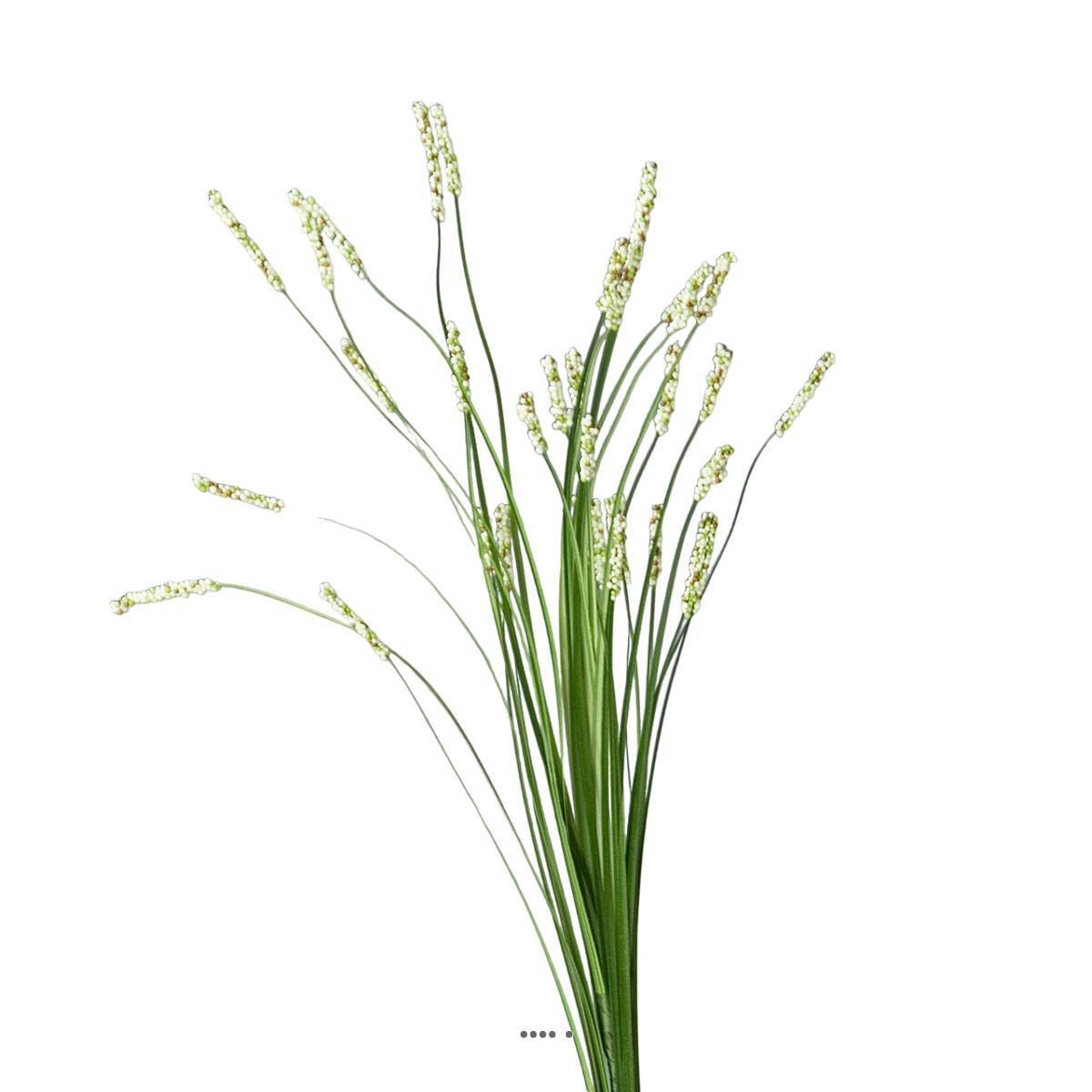 Artificielles - Isolepsis artificiel Herbe a ours H 70 cm crème - Imagen 2