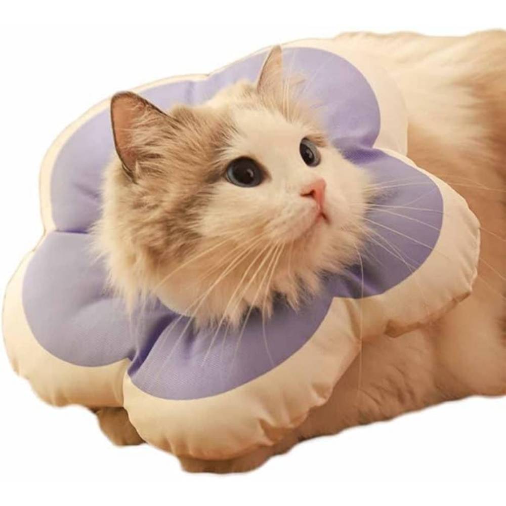 DtopbuyAge - Collier Anti - Morsure Réglable Doux Léger Pour Chats Violet XS - Image 2