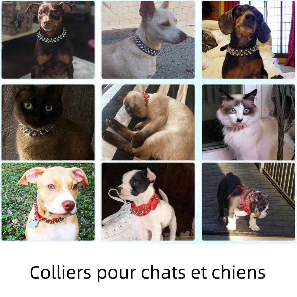 Muselière en cuir pour chien s - IntiMeg - Image 3