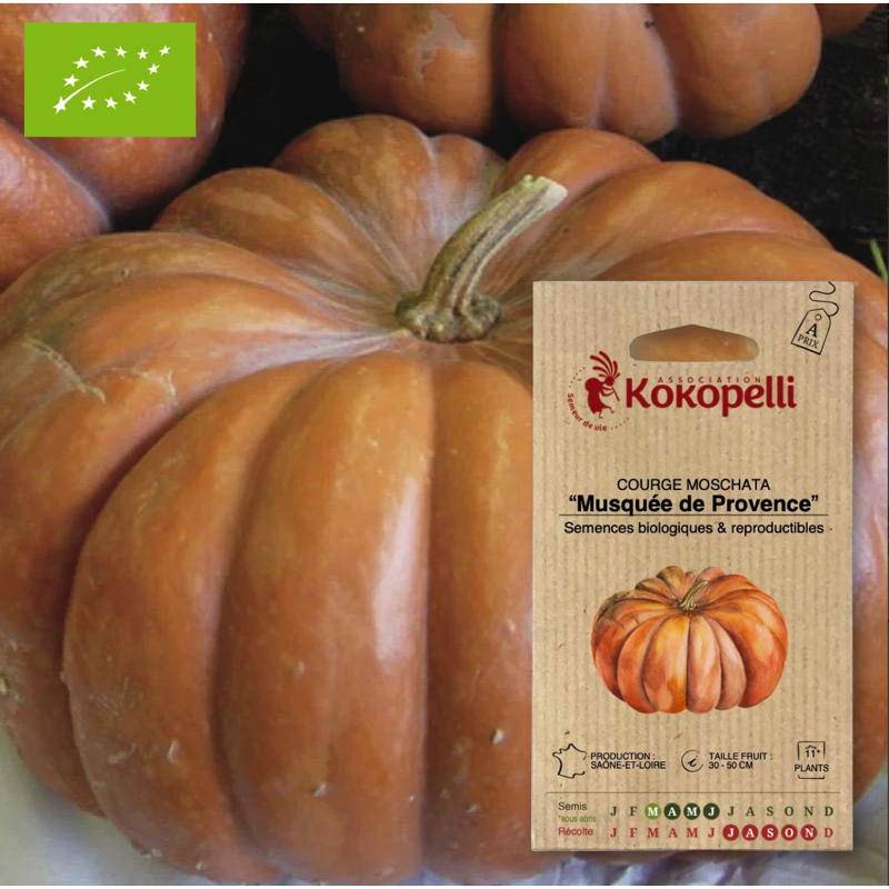 Courge Musquée de Provence- Graines bio à semer - Imagen 1