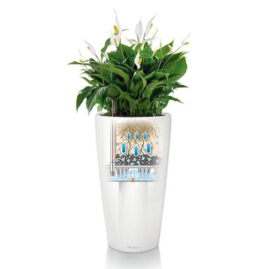Lechuza - Pot Rondo Premium 32 - kit complet, blanc brillant Ø 32 cm Lechuza - Imagen 5