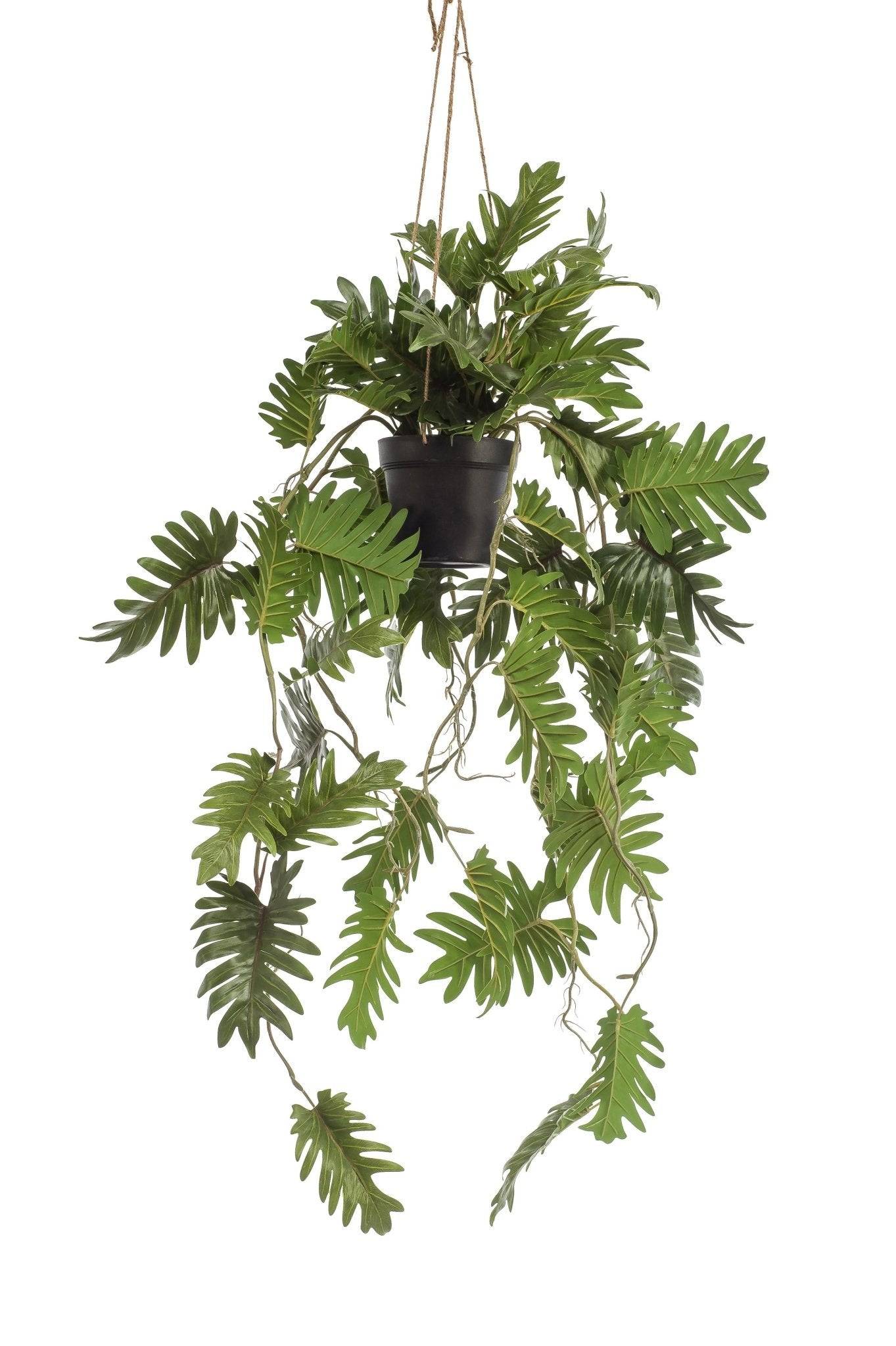 La Green Touch - Philodendron plante artificielle - h80cm, Ø18cm- La Green Touch - Imagen 4