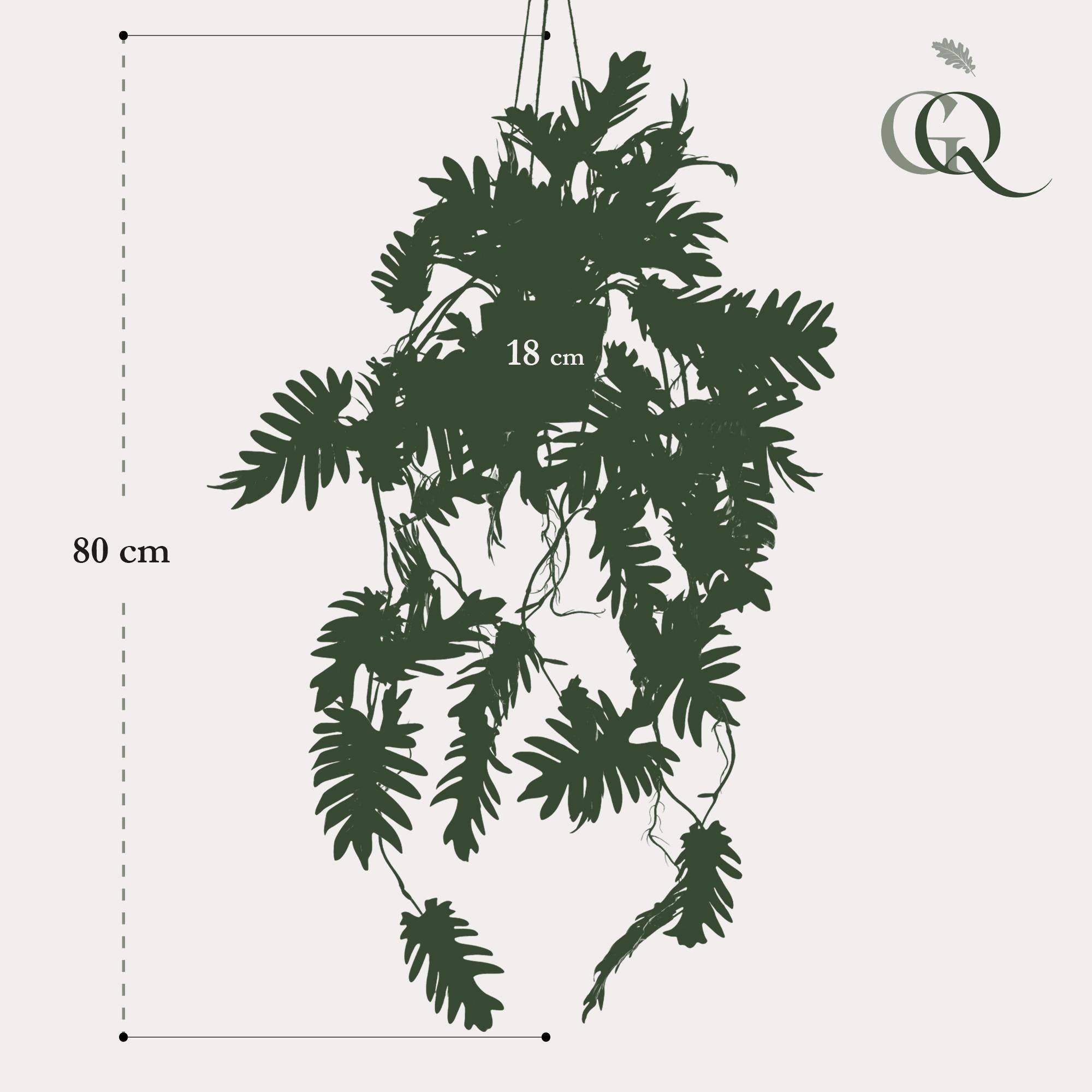 La Green Touch - Philodendron plante artificielle - h80cm, Ø18cm- La Green Touch - Imagen 3