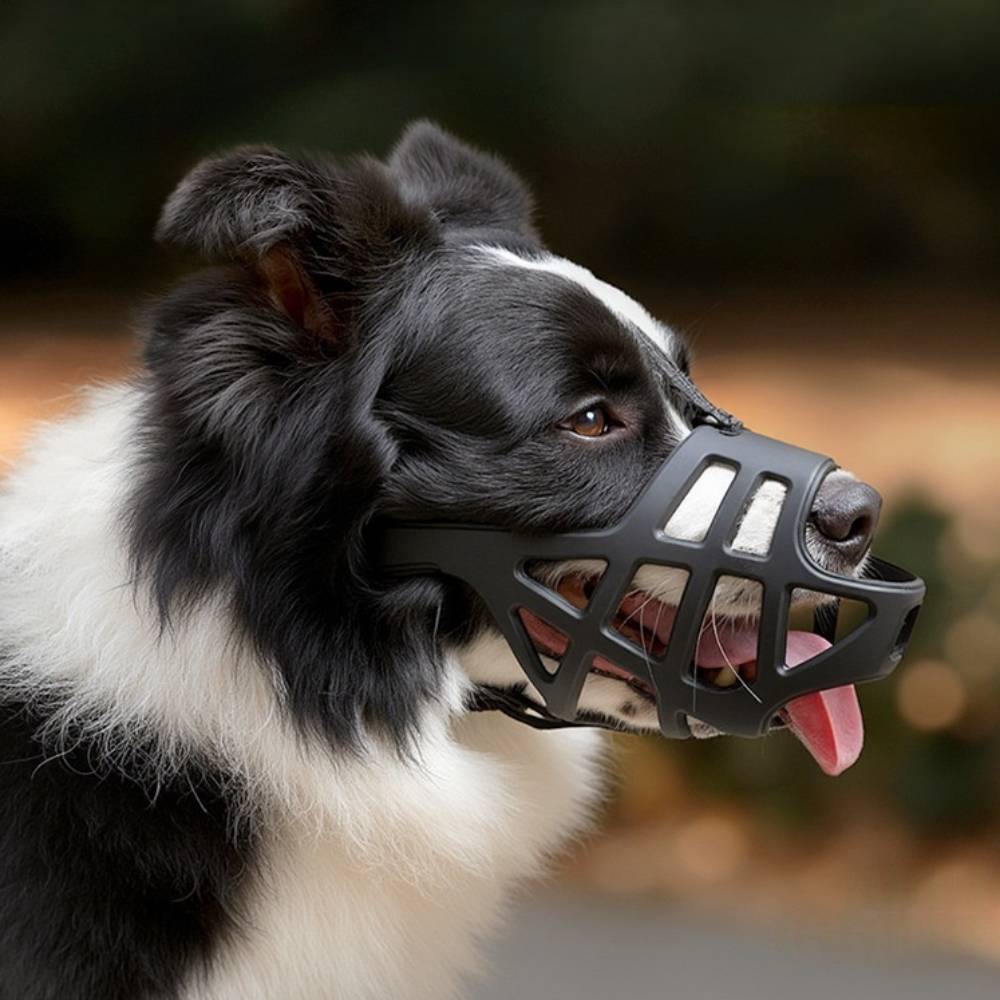 Muselière pour chien M - IntiMeg - Image 2
