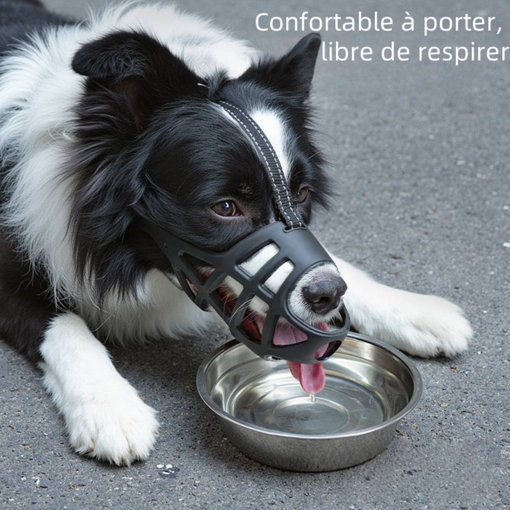 Muselière pour chien M - IntiMeg - Image 3