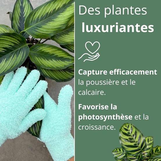 Gants de nettoyage pour plantes - Anti-calcaire - Vert pomme - Image 6