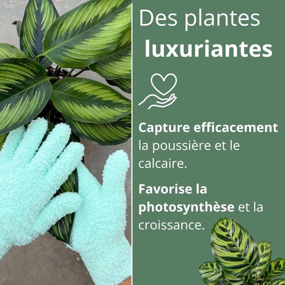 Gants de nettoyage pour plantes - Anti-calcaire - Vert pomme - Image 6