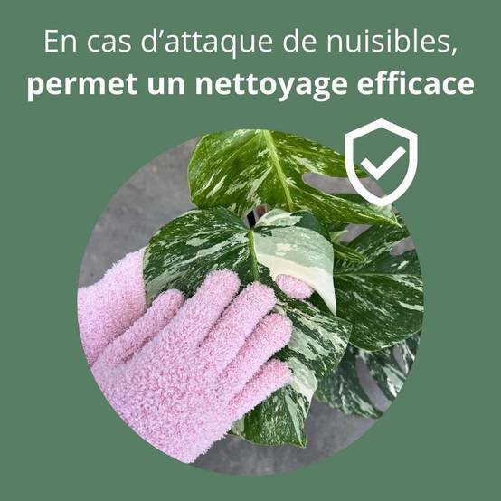 Gants de nettoyage pour plantes - Anti-calcaire - Vert pomme - Image 7