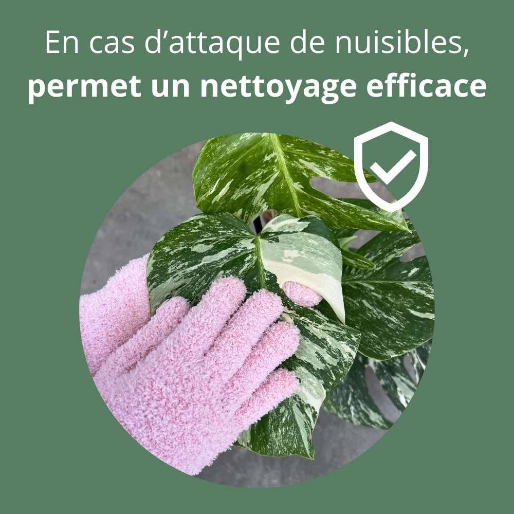Gants de nettoyage pour plantes - Anti-calcaire - Vert pomme - Image 7