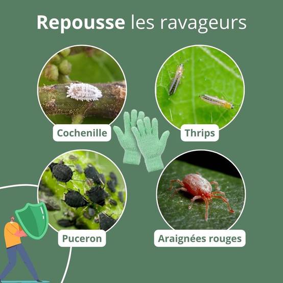 Gants de nettoyage pour plantes - Anti-calcaire - Vert pomme - Image 8