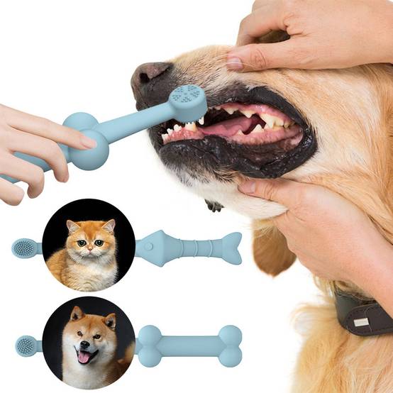 Brosse à dents pour animaux de compagnie DtopbuyAge - Image 5