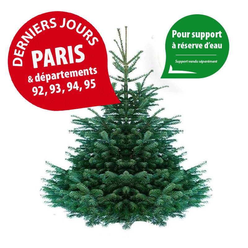 rapidsapin - Sapin de Noël Nordmann naturel 160-180 cm pied percé - Image 1
