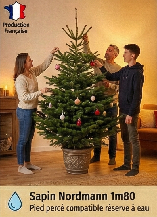 rapidsapin - Sapin de Noël Nordmann naturel 160-180 cm pied percé - Image 2