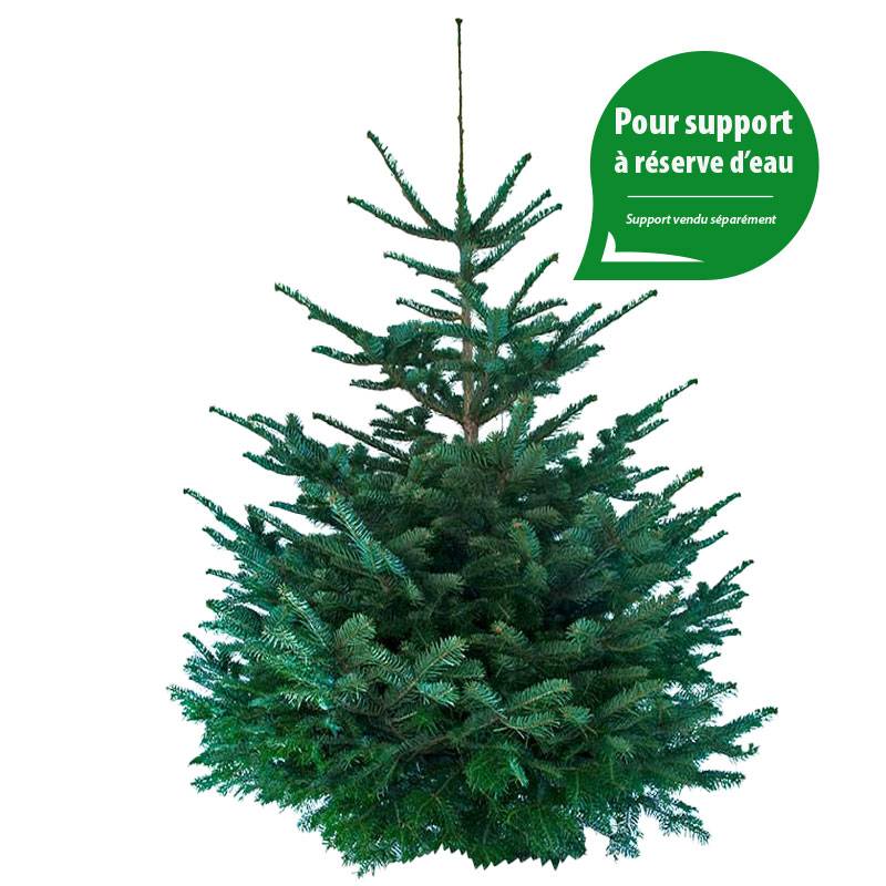 rapidsapin - Sapin de Noël Nordmann naturel 160-180 cm pied percé - Image 3