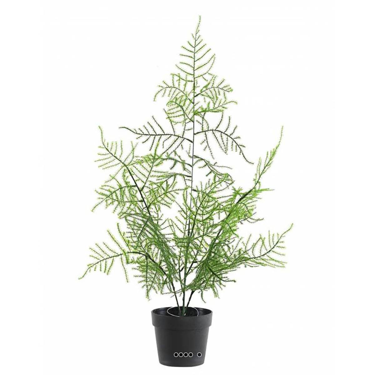 Artificielles - Asparagus artificiel en pot pour extérieur H 50 cm - Imagen 1