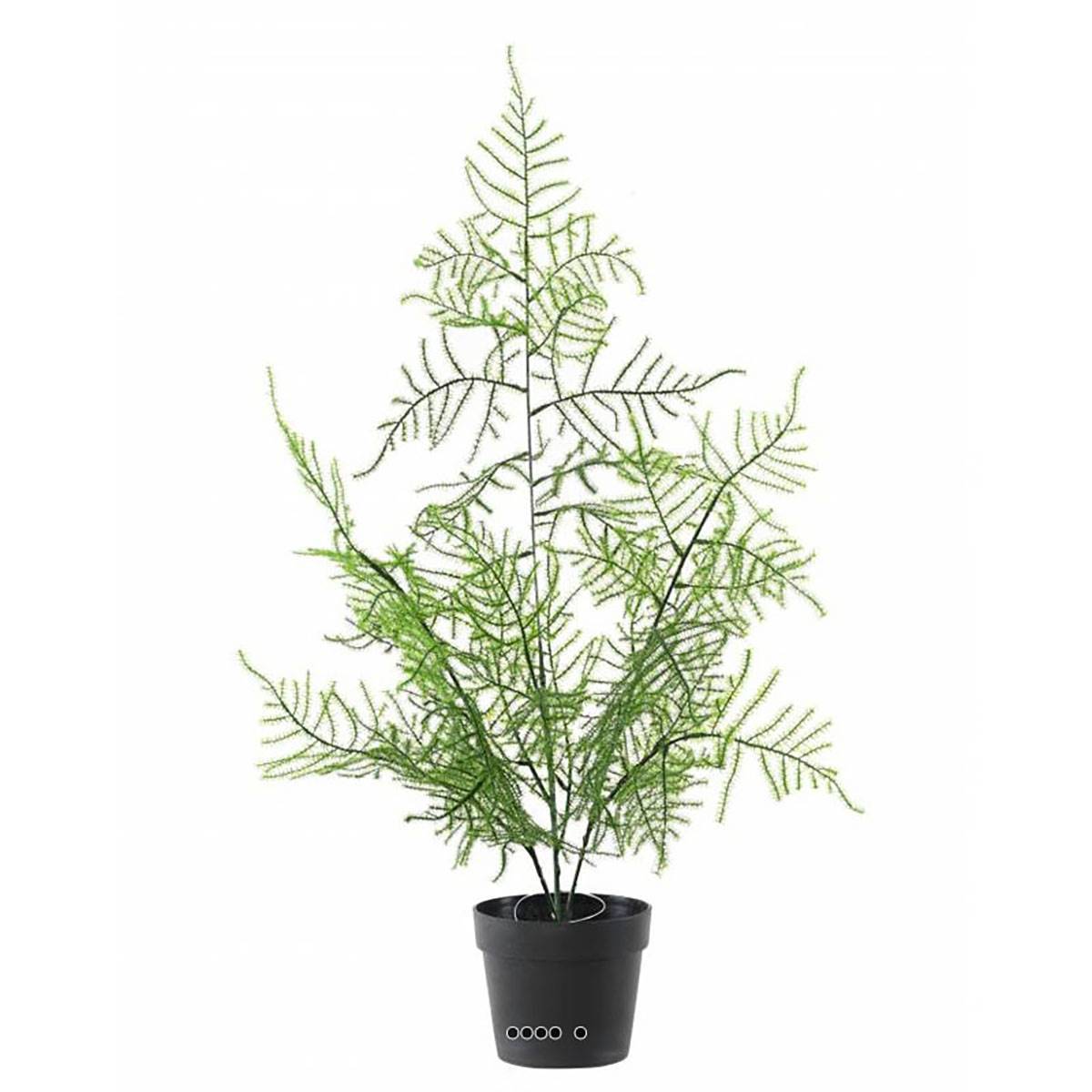 Artificielles - Asparagus artificiel en pot pour extérieur H 50 cm - Imagen 2