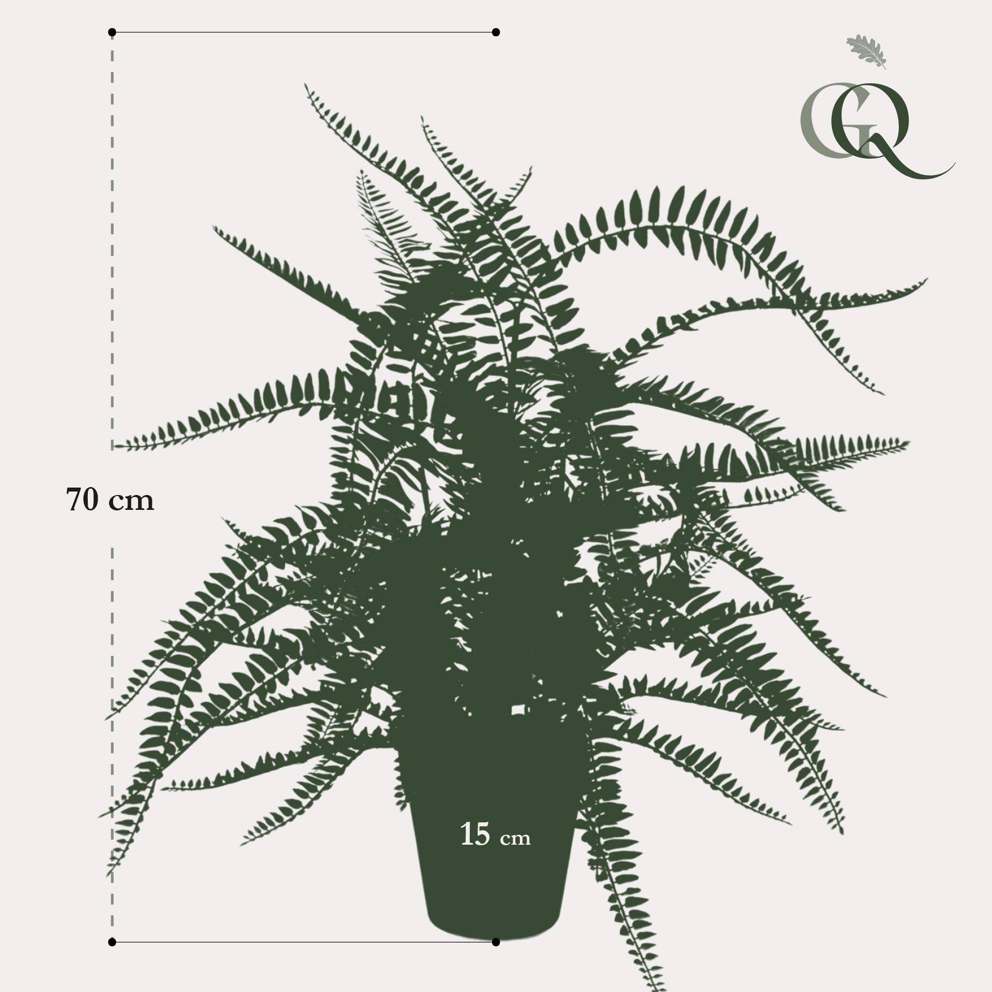 La Green Touch - Fougère de Boston plante artificielle - h70cm, Ø15cm- La Green Touch - Imagen 5