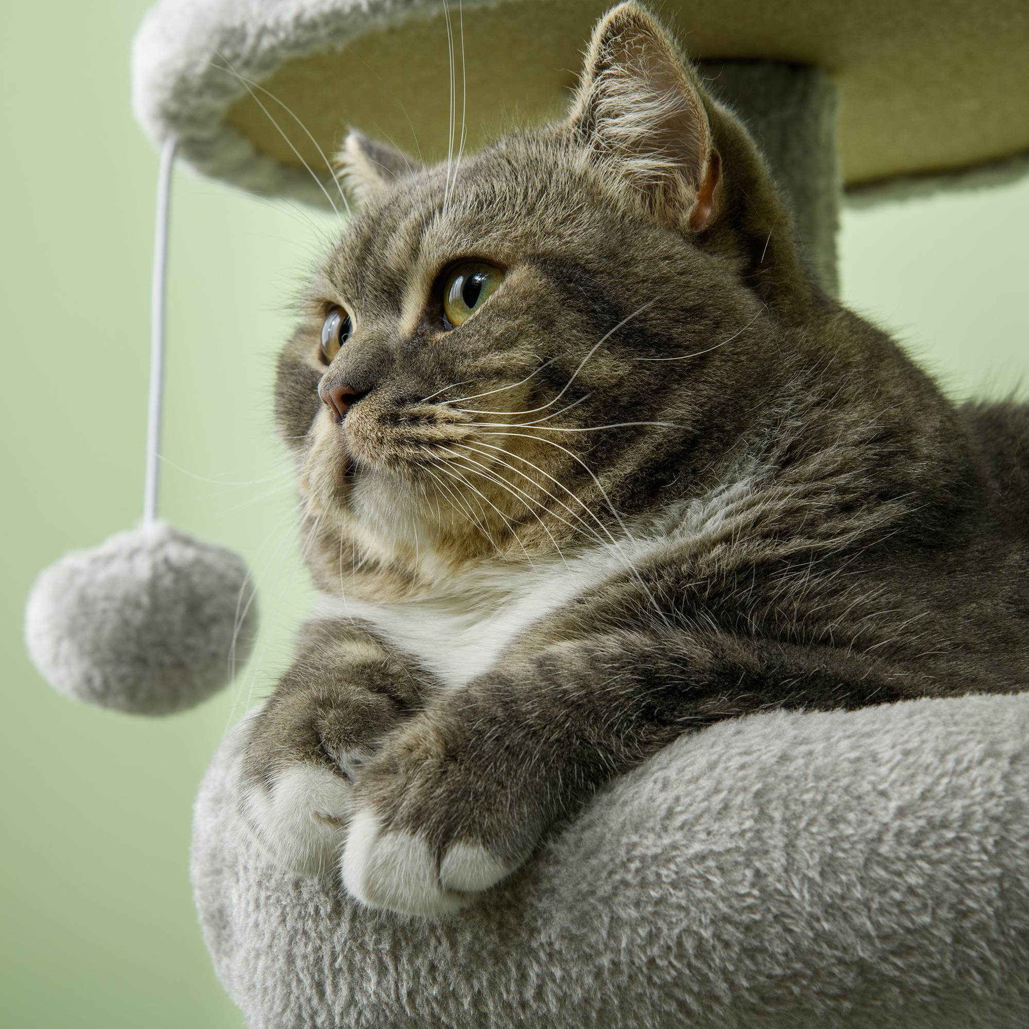 Pawhut - Arbre à chat griffoirs sisal naturel niche plateformes panier hamac jeux boules suspendues peluche gris - Imagen 10