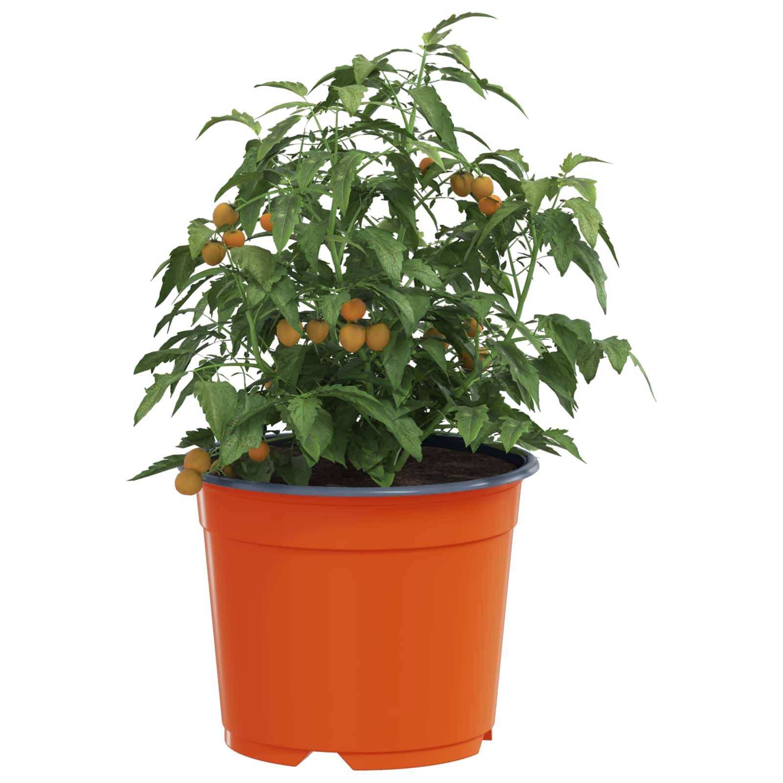 Lot de 200 Pots de Fleurs Plastique pour Semis Intérieur Extérieur Drainage 10x8 cm Terre Cuite - ComfortXL Outdoor Living - Image 3