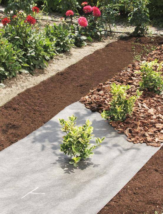 Nortène - Nappe de jardinage 1 x 25 TERRATEX Nortene