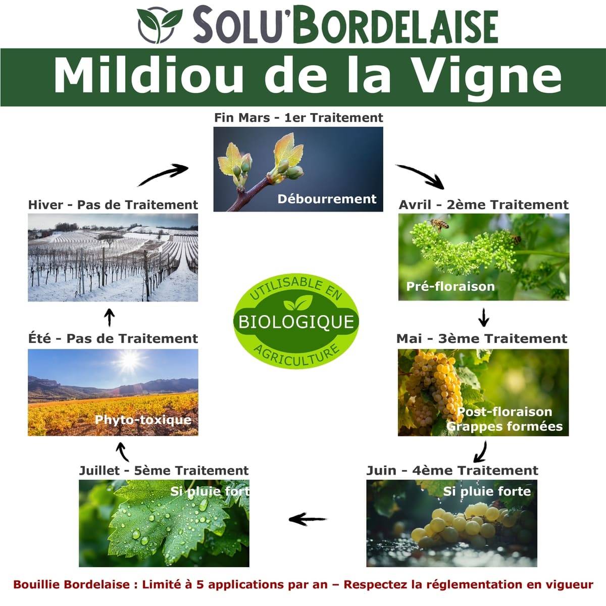 Solu'Bordelaise - 1 kg de Bouillie Bordelaise - Mildiou de la Vigne - Utilisable Agriculture Biologique -  Sachet Refermable - Image 2