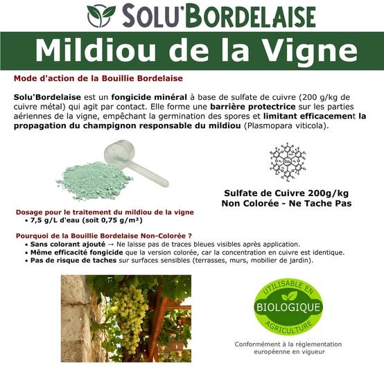 Solu'Bordelaise - 1 kg de Bouillie Bordelaise - Mildiou de la Vigne - Utilisable Agriculture Biologique - Sachet Refermable - Image 3