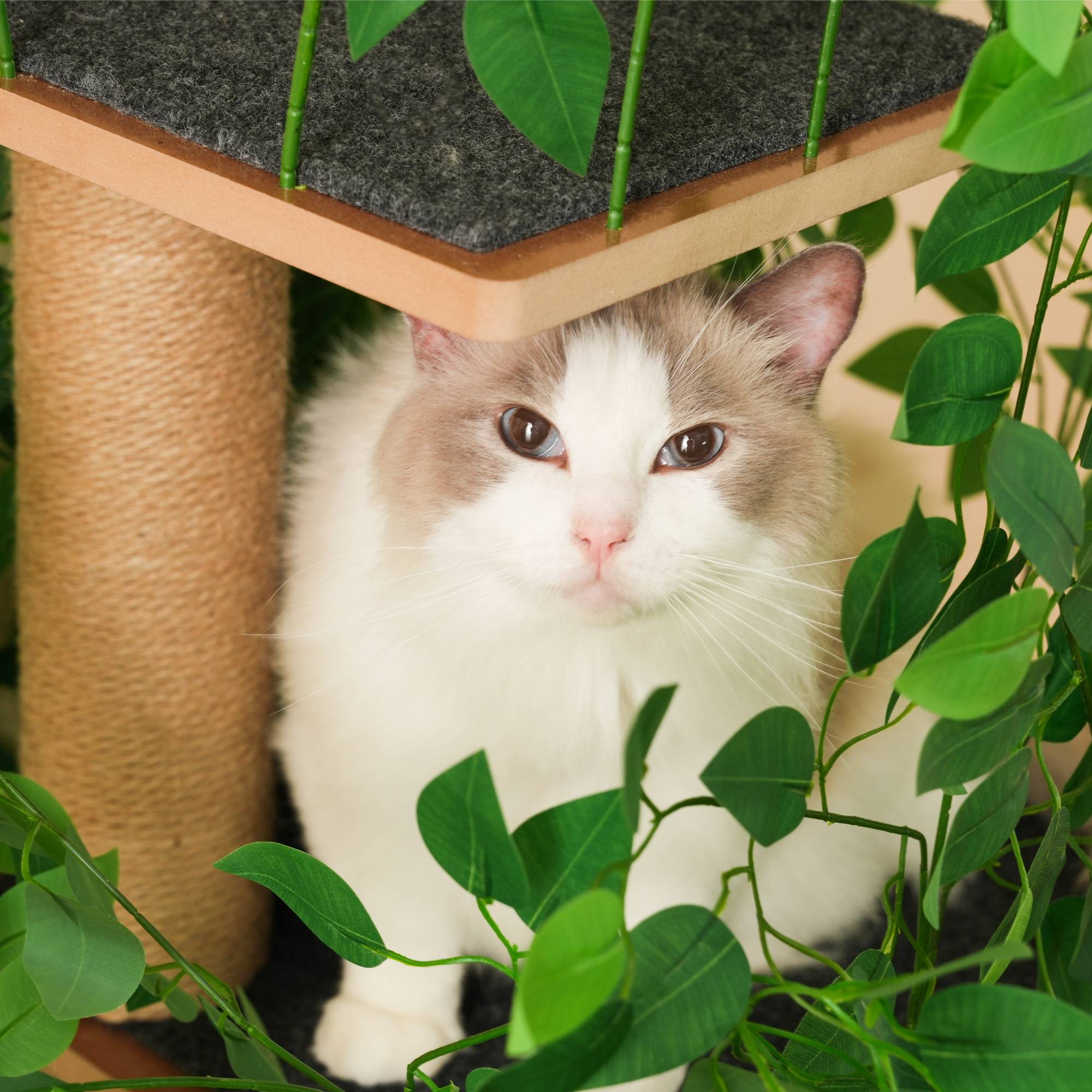Arbre à chat design végétal bois MDF pour chat grimper se cacher 190cm vert - ComfortXL Outdoor Living - Image 7
