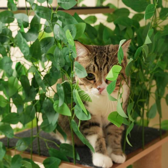 Arbre à chat design végétal bois MDF pour chat grimper se cacher 190cm vert - ComfortXL Outdoor Living - Image 6