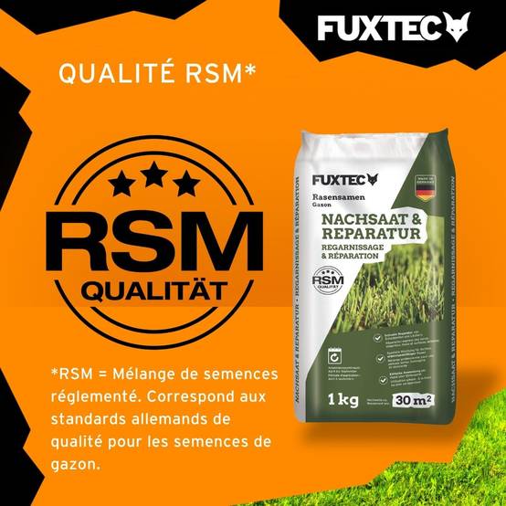 Semences de gazon FUXTEC FX-RSNR1 – sursemis et réparation 1kg/30m² – germination rapide – mélange robuste soleil ombre - Image 6